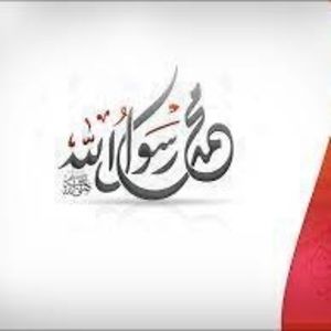 Meet your Posher, Laila